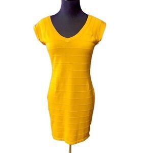 Pink Rose Goldenrod Bodycon Dress, Size Large